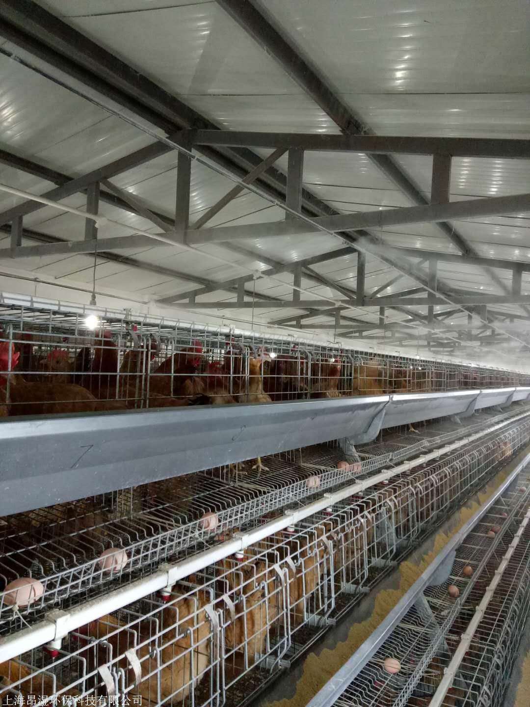噴霧除臭系統-養雞場